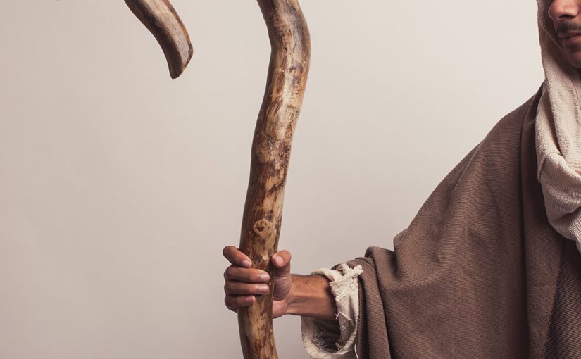 Shepherd: November 15-21, 2019 (Fri-Thurs): Read through Proverbs, Ezekiel, and&nbsp;John