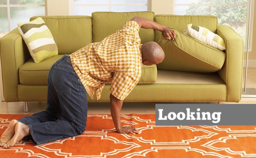 Looking: December 15-21, 2019 (Sun-Sat): Reading through Job and&nbsp;Revelation